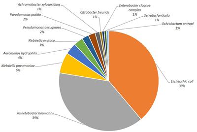 Multidrug-Resistant and Clinically Relevant Gram-Negative Bacteria Are Present in German Surface Waters